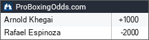 Arnold Khegai vs Rafael Espinoza odds - ProBoxingOdds